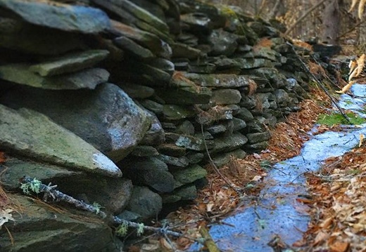 A section of the long stone wall in the forest behind our home. Leo loves to explore it for critters. . . #vermont #oldstonewall