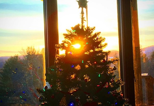 A lovely sun setting behind the tree. Peace to all. . . #ChristmasSunset #HappyHolidays #tree