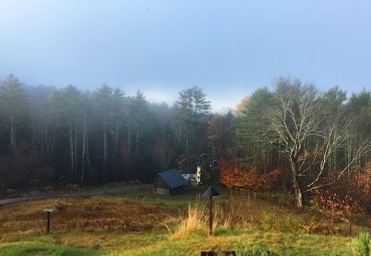 The sun breaks through and melts the fog. Hope your day is just as beautiful! . . #vermont #farm #scene #fog #autumn #foliage