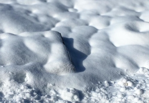 #snow tufting. #vermont #tunbridge