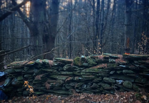 The very old stone wall that meanders in our back woods. #vermont #awalkinthewoods
