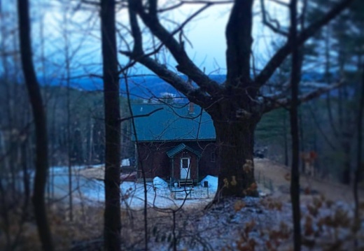 Our house as seen from woods. Not an angle I often share. #vermont #ashtrees #home