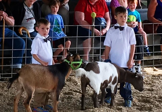 Boys and their #goats at the #tunbridgefair #tunbridgefair2016