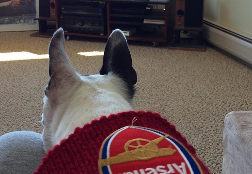 Haley trying to rally the lads. #afcvcfc #arsenal #coyg
