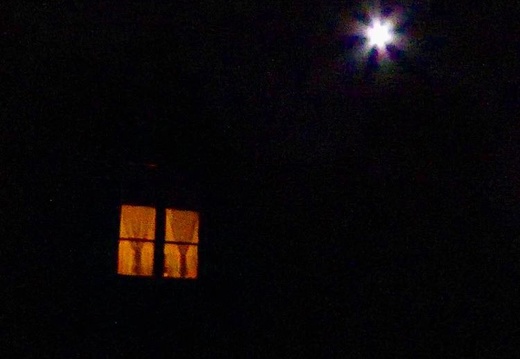 Beginning of Eclipse of Blood Moon over my mother-in-law's flat. #latergram #eclipse #Vermont