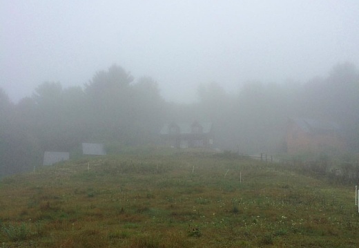 I can almost see my house from here. #Vermont #fog