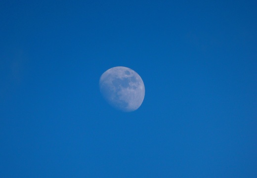 Moon Over Trealy Farm