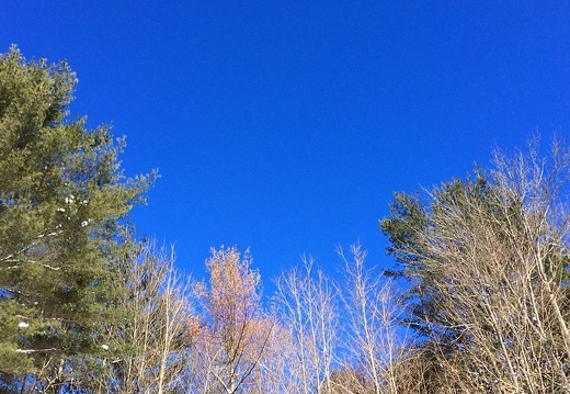 My favorite shade of blue. #vermont