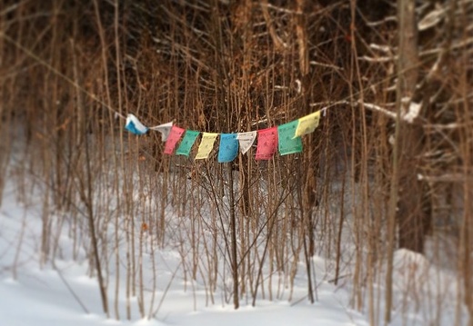 Snowy prayer flags.