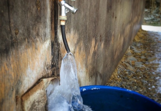 Ice creep on woolie's heated water bucket. Forecast to be -20F/~-29C overnight tonight.