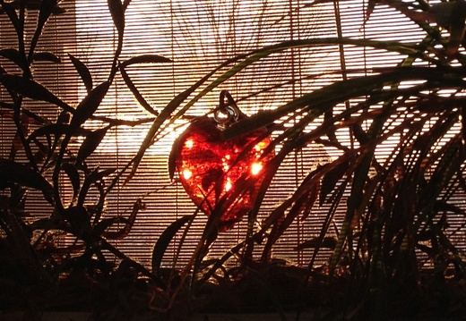 Sunrise heart