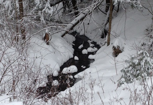 Creek in Snow