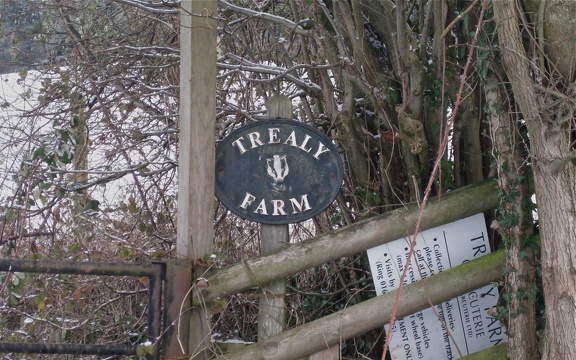 Trealy Farm