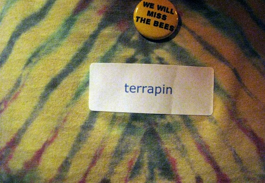 We Will Miss the Bees, terrapin