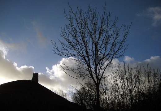 Glastonbury Tor and Tree