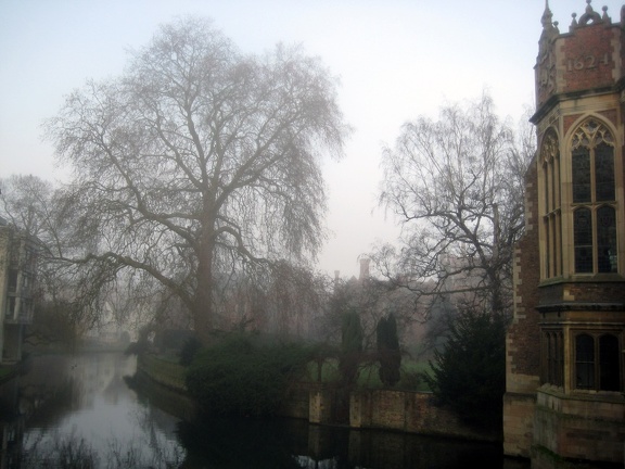 Misty Cambridge