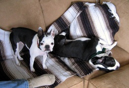 Haley & Mickey Check Out New Couch
