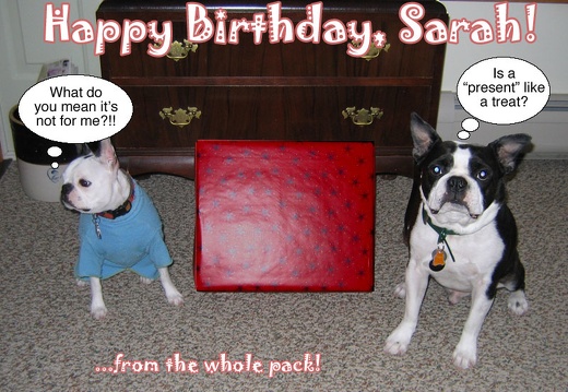 Happy Birthday Sarah!