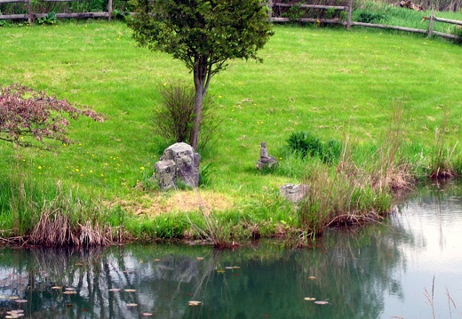 Buddha's Pond