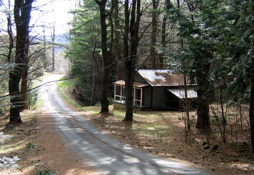 Shadowy Driveway and Cabin