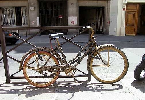 Leopard Skin Bicycle in St. Germain