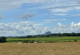Sheep with Skirrid Mountain in Background