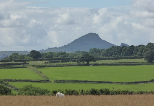 Skirrid Mountain with Sheep in Foreground