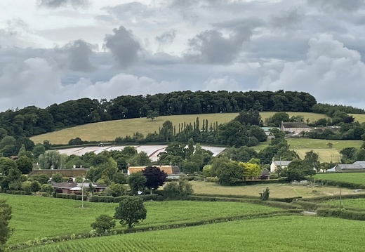 Farms and Homes as Seen from The Devon Wishing Tree