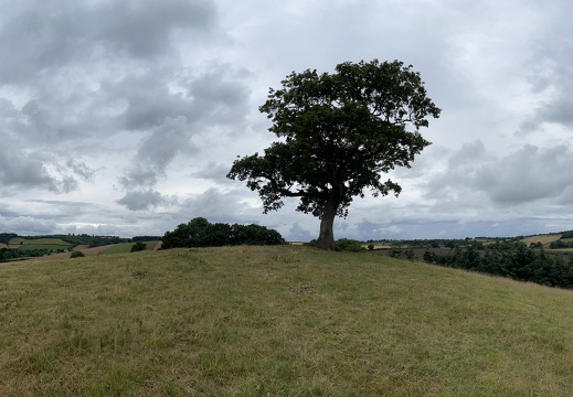 Panoramic View of Devon Wishing Tree