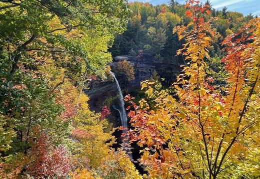 Kaaterskill Falls Through Autumn Leaves