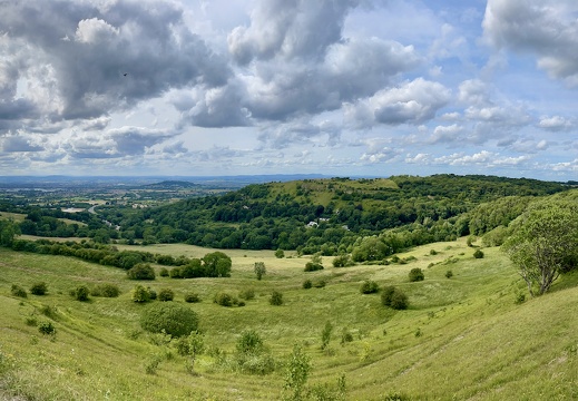 View of Leckhampton Hill from Barrow Wake