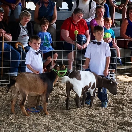 Boys and their #goats at the #tunbridgefair #tunbridgefair2016