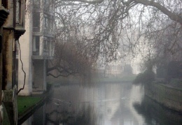 Misty Cambridge & Ducks