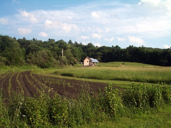 Uphill View of the Farm