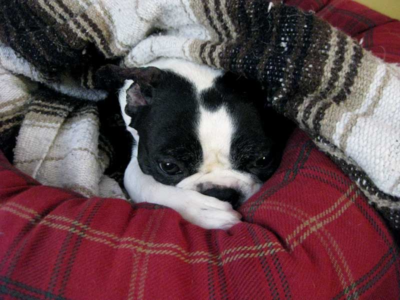 Resting