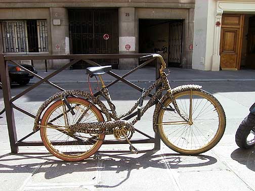 Leopard Skin Bicycle in St. Germain